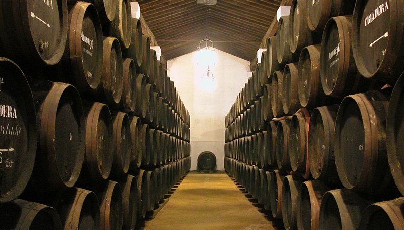Hamelin: Visita Guiada Bodegas Álvaro Domecq con degustación de vinos - Actividad  (Jerez de la Frontera)