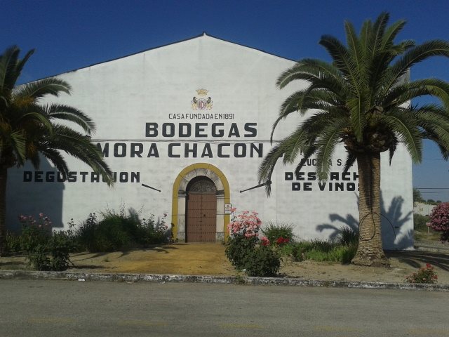 Bodegas Mora Chacón de Lucena