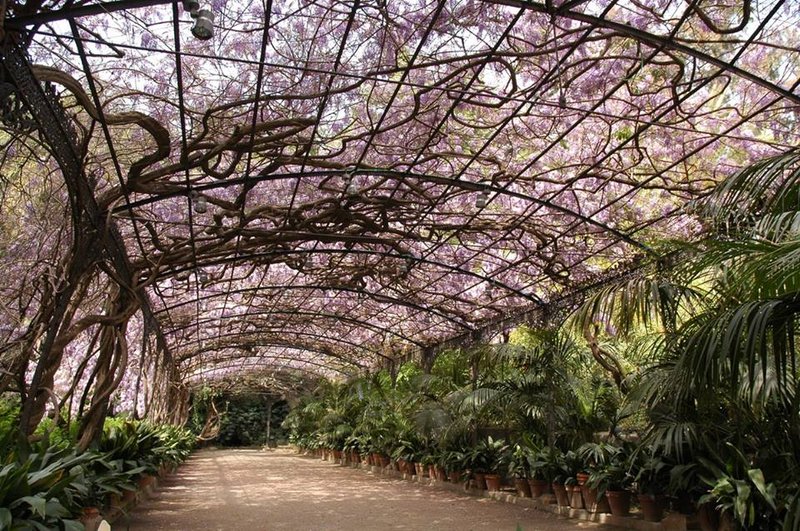 Jardín Botánico-Histórico La Concepción