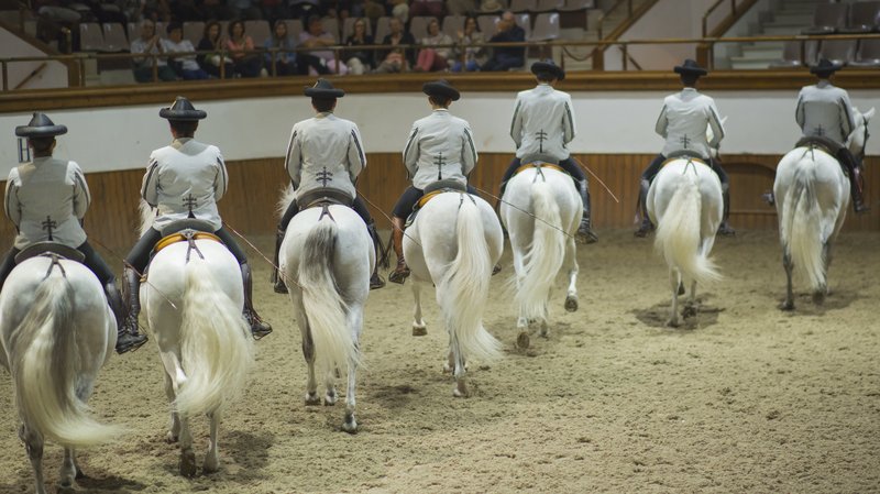 Fundación Real Escuela Andaluza del Arte Ecuestre