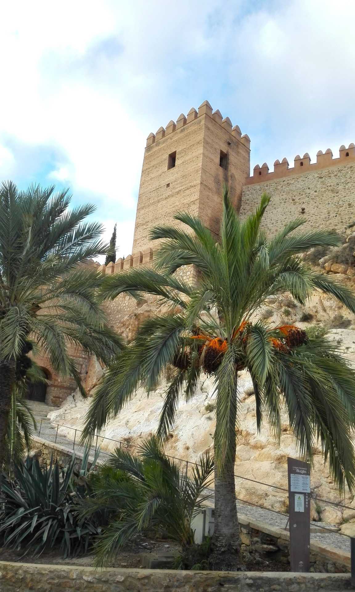 Cultura Vista de torre de la Alcazaba Almería.jpg