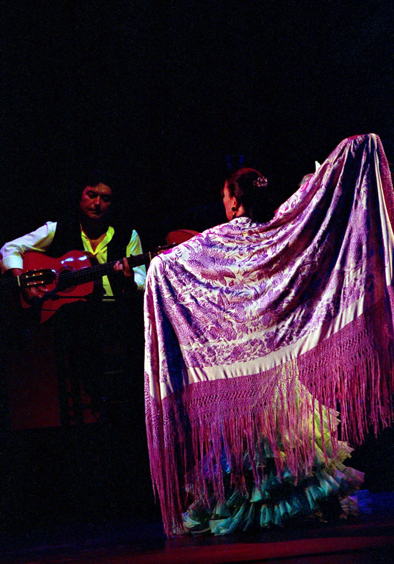 Origins of the word 'flamenco'