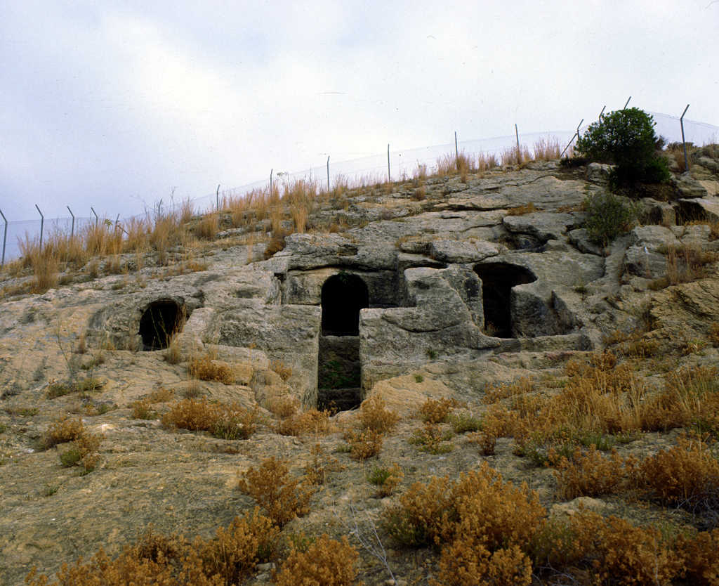 Yacimiento Arqueológico Carissa Aurelia