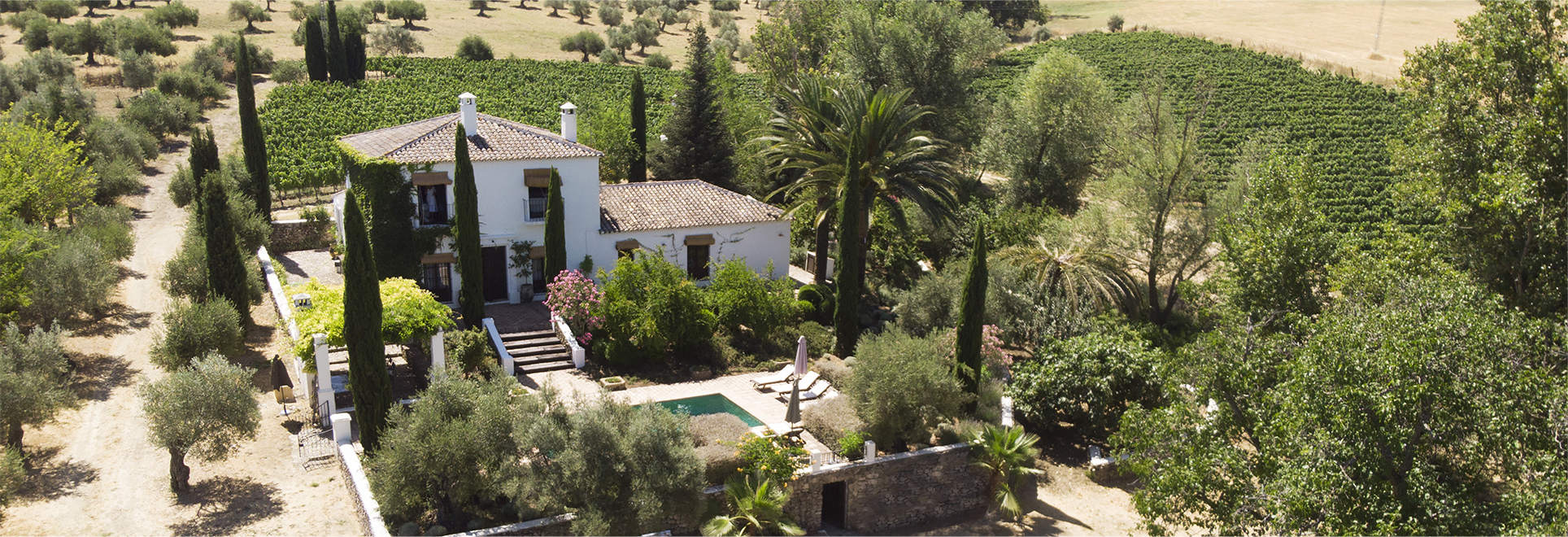 Bodega Huerto de la Condesa