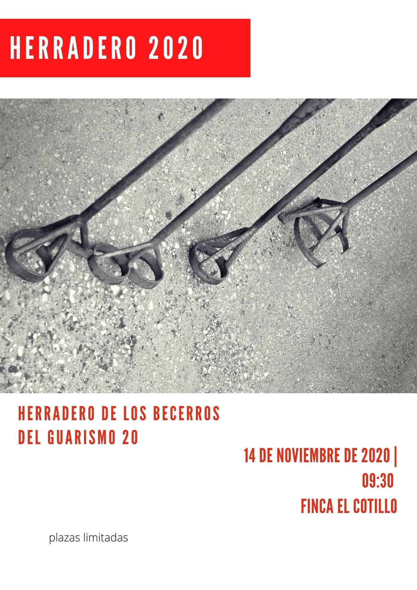 Herradero de los becerros del guarismo 20