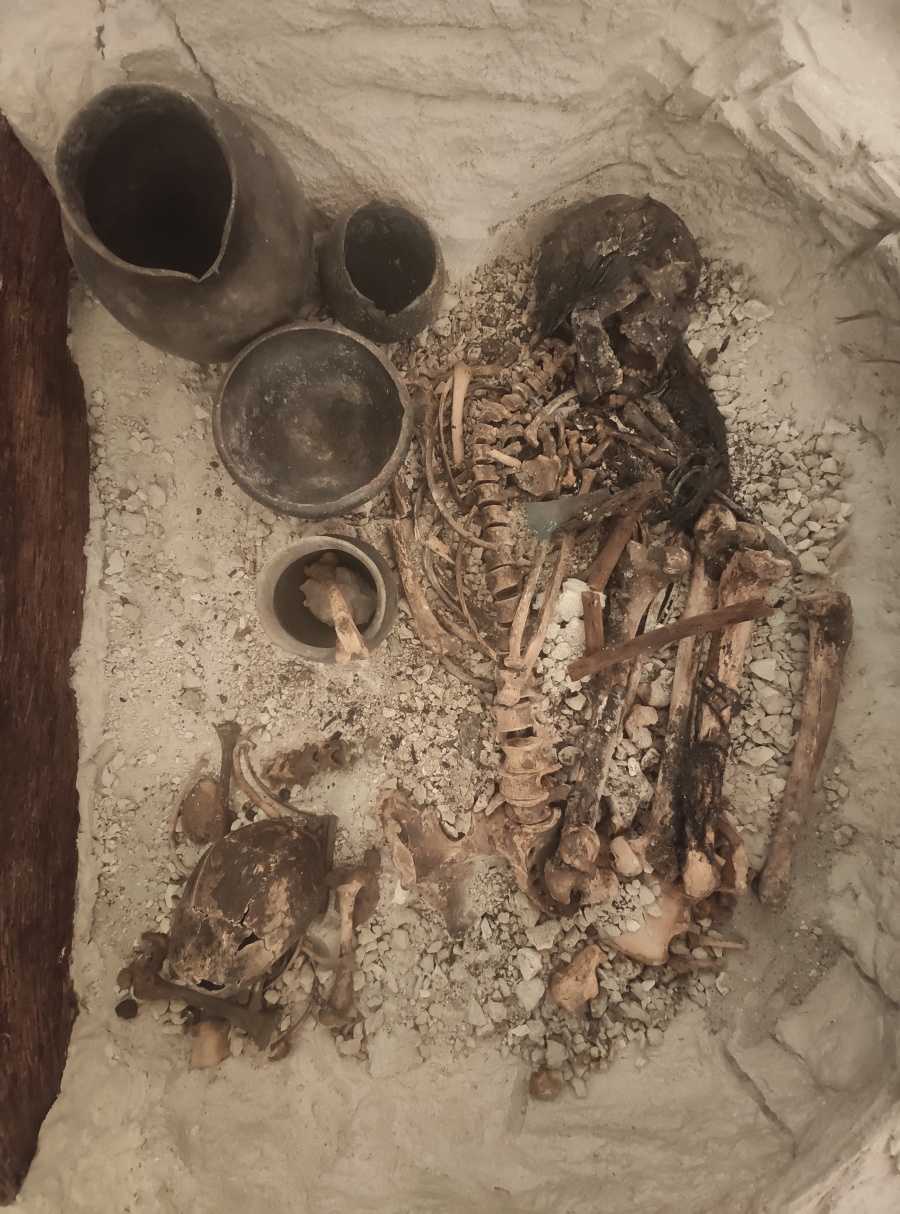 momia-museo-galera