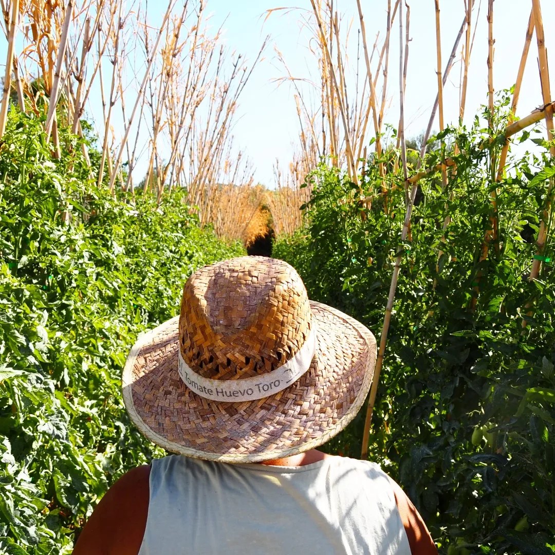 La Huerta de Carmen