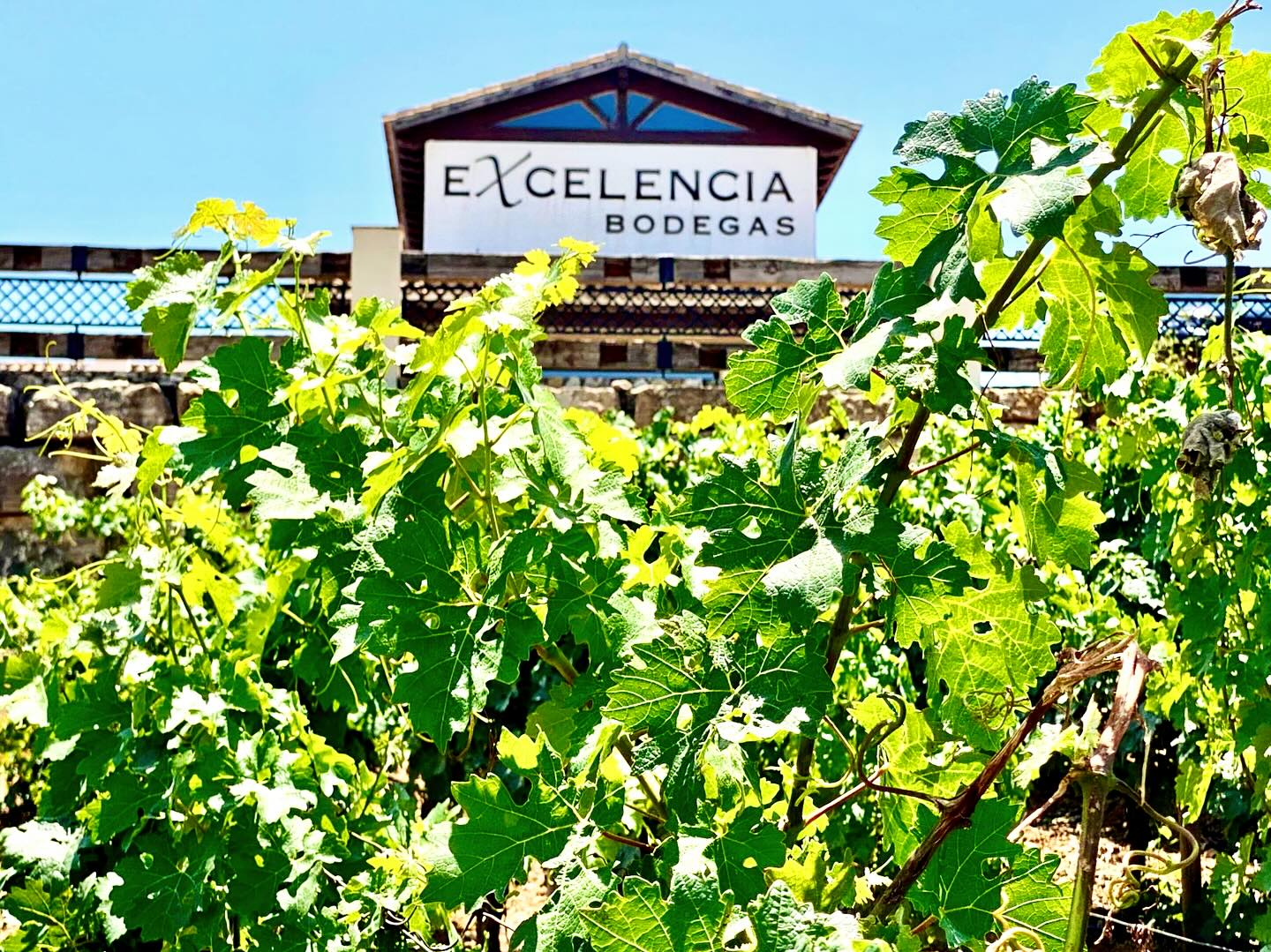 Bodegas Excelencia