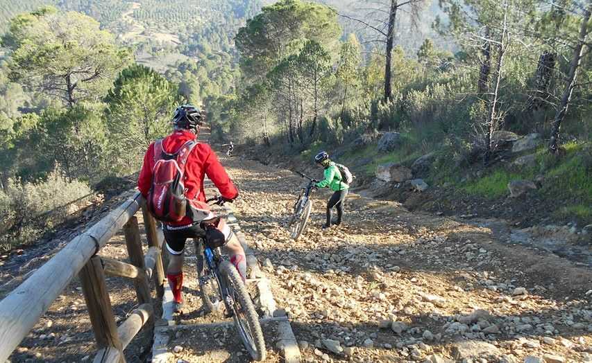 La Ruta Patasnegras, Andalucia Cycling
