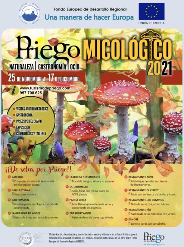 Priego Micológico