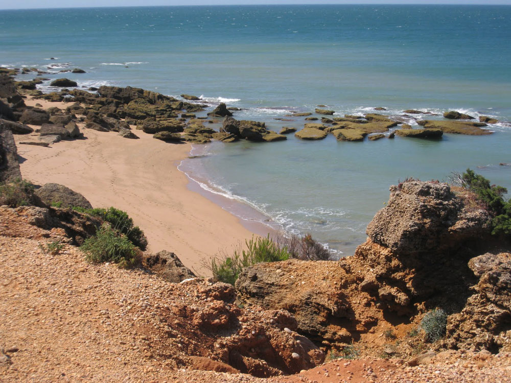 Hotel Costa Conil - Web oficial de turismo de Andalucía