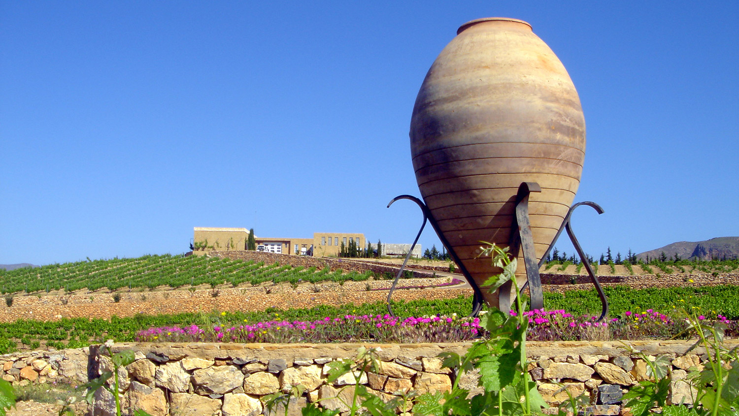 Bodegas Ánfora Enix