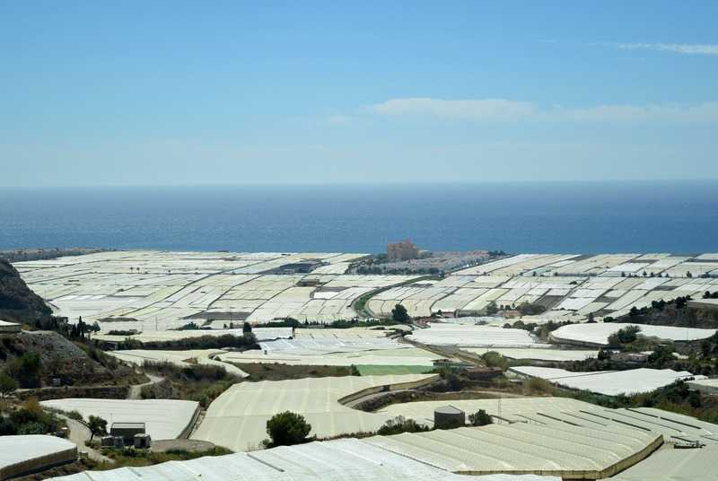 Málaga agricultura