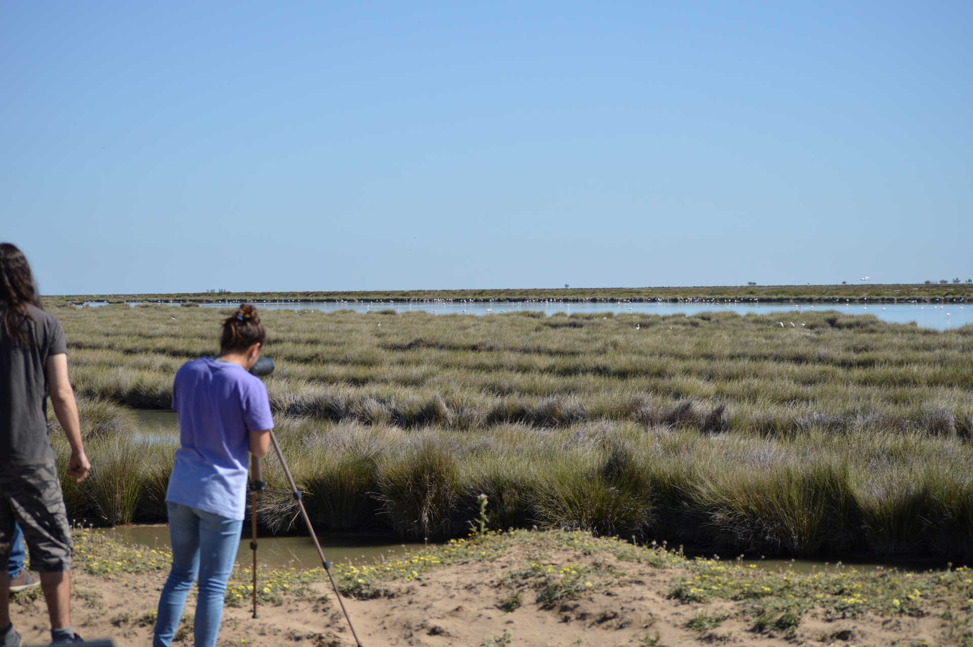 Birdwatching route through the Doñana nature reserve