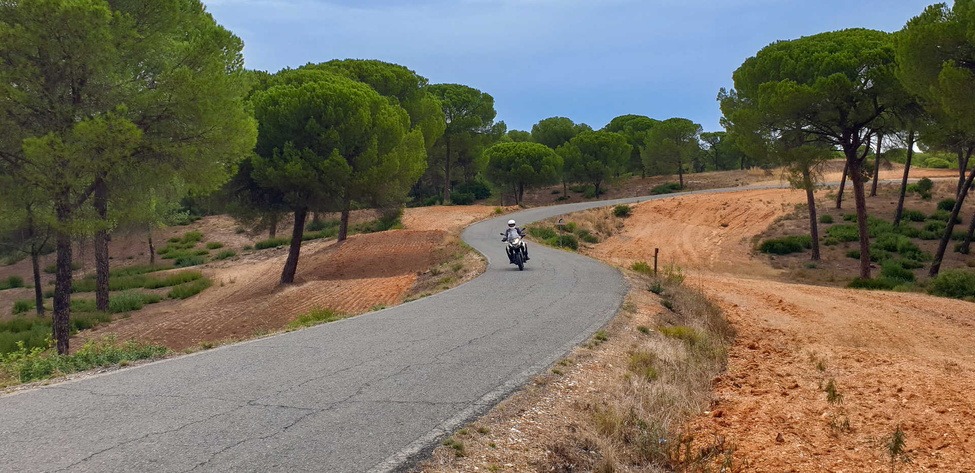 Ruta en moto Marismas - Aljarafe