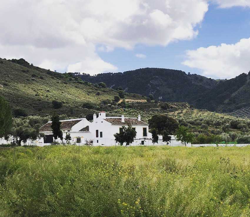 Casa Rural Cortijo Alzamigaja