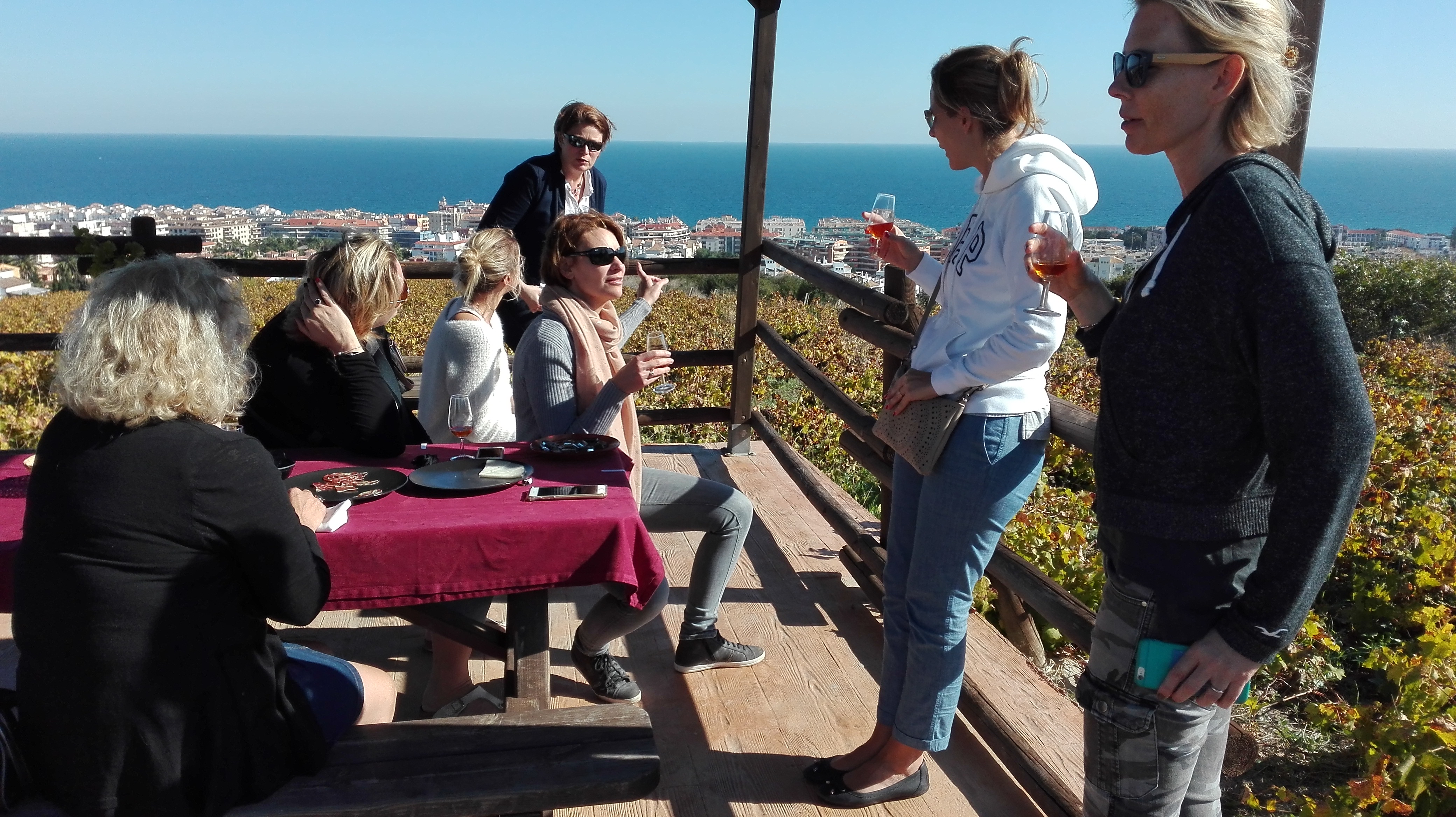 Visita bodega con degustación en viñedo y tapas mirando al Mar de Alborán