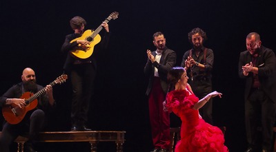 Andalucía es Flamenco