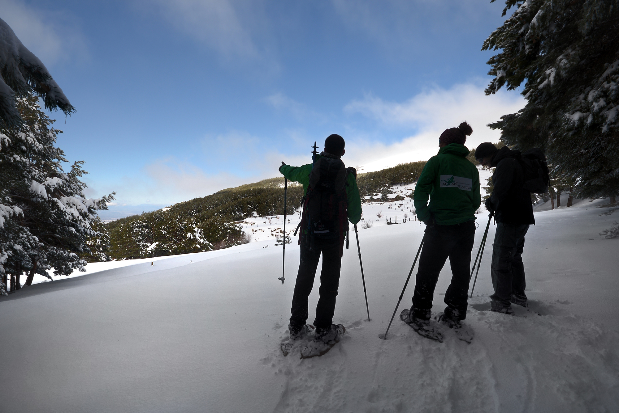 Raquetas de nieve por los bosques de Sierra Nevada - Web oficial de turismo  de Andalucía