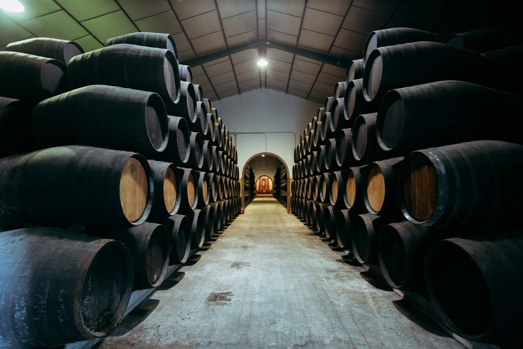 Bodegas Páez Morilla