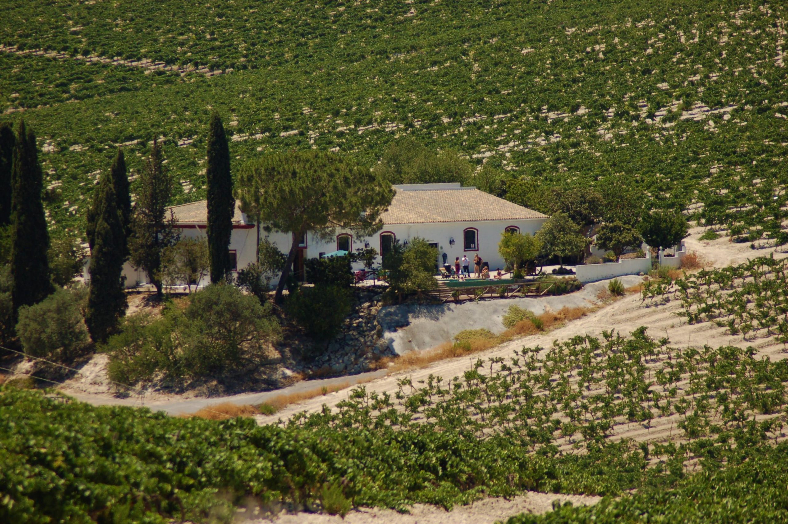 Bodega Santa Petronila