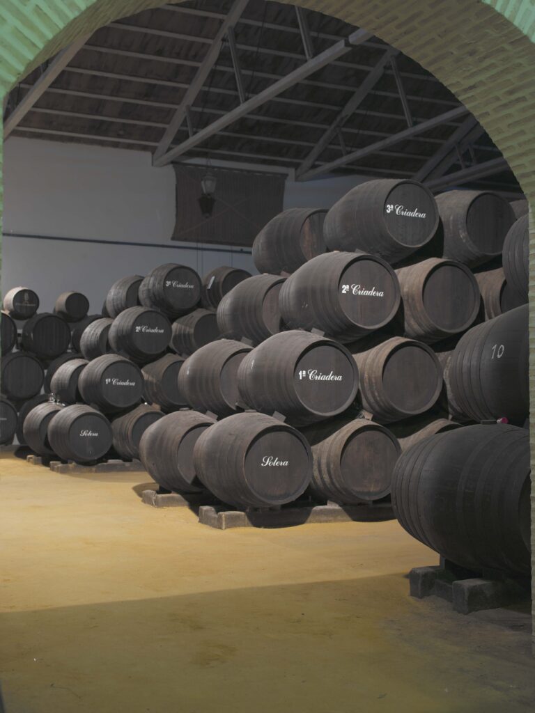 Bodegas La Aurora