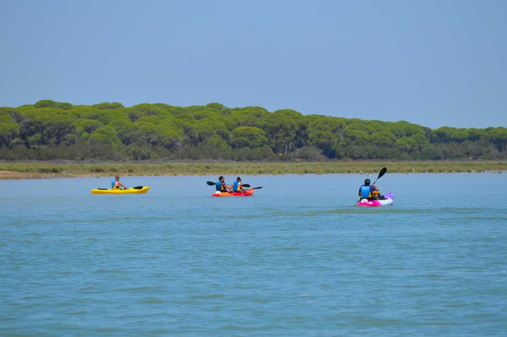Kayak route from Sanlúcar to Doñana