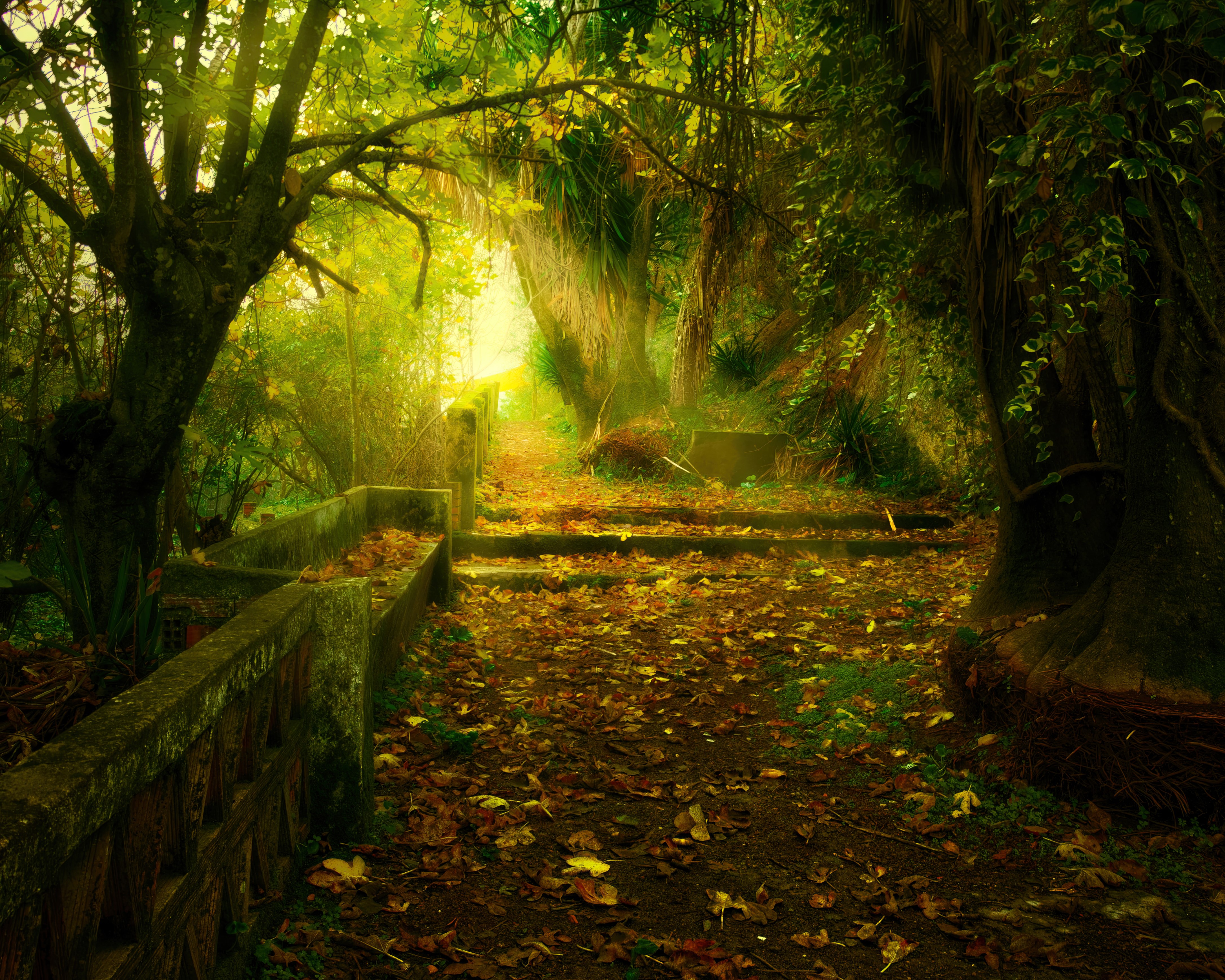 Forêt Enchantée de Cordoue