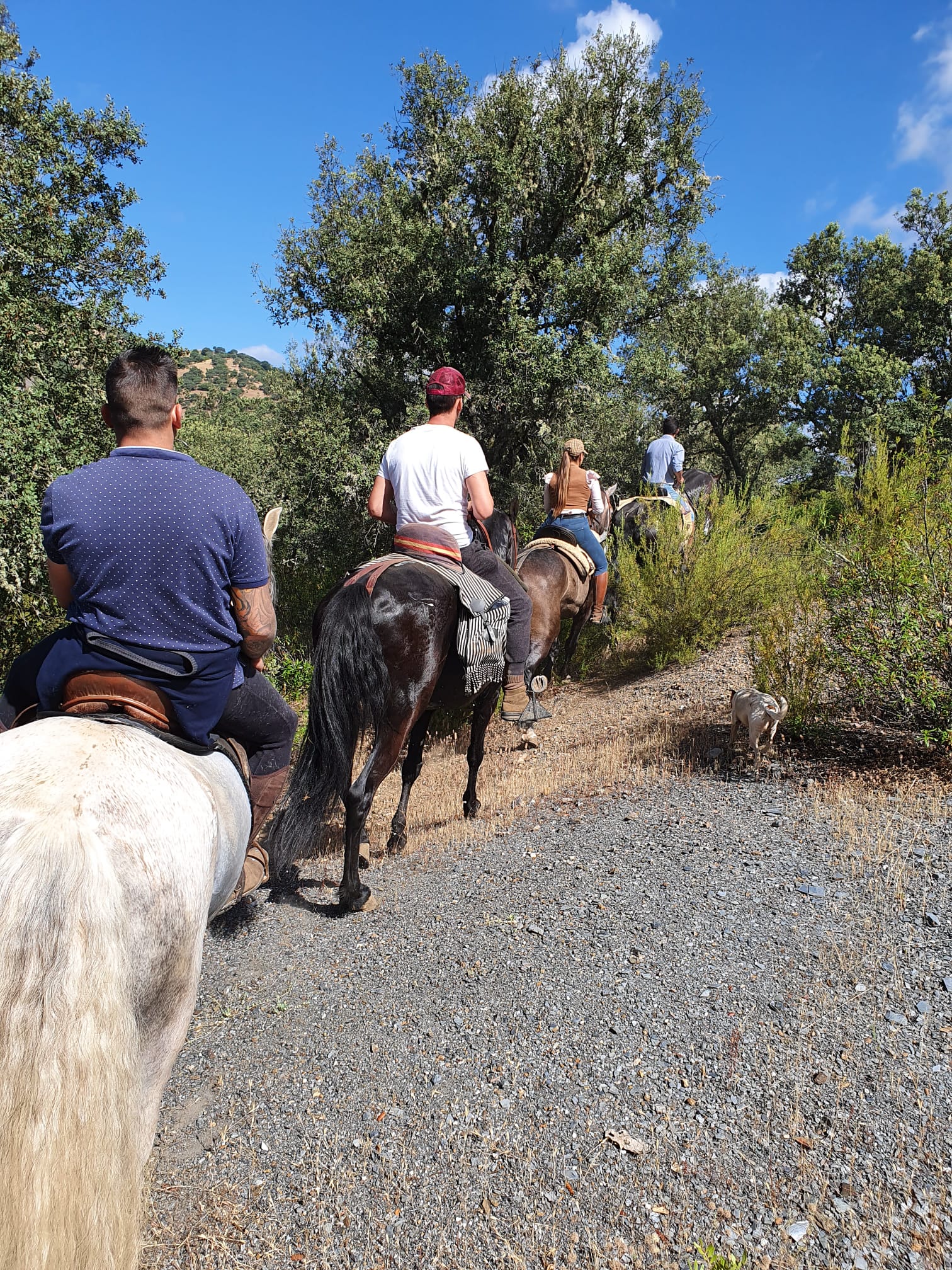 Hamelin: Rutas a caballo por la Sierra Morena de Jaén - Actividad  (Baños de la Encina)