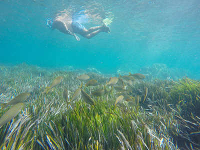 Submarinismo y snorkeling en Cabo de Gata