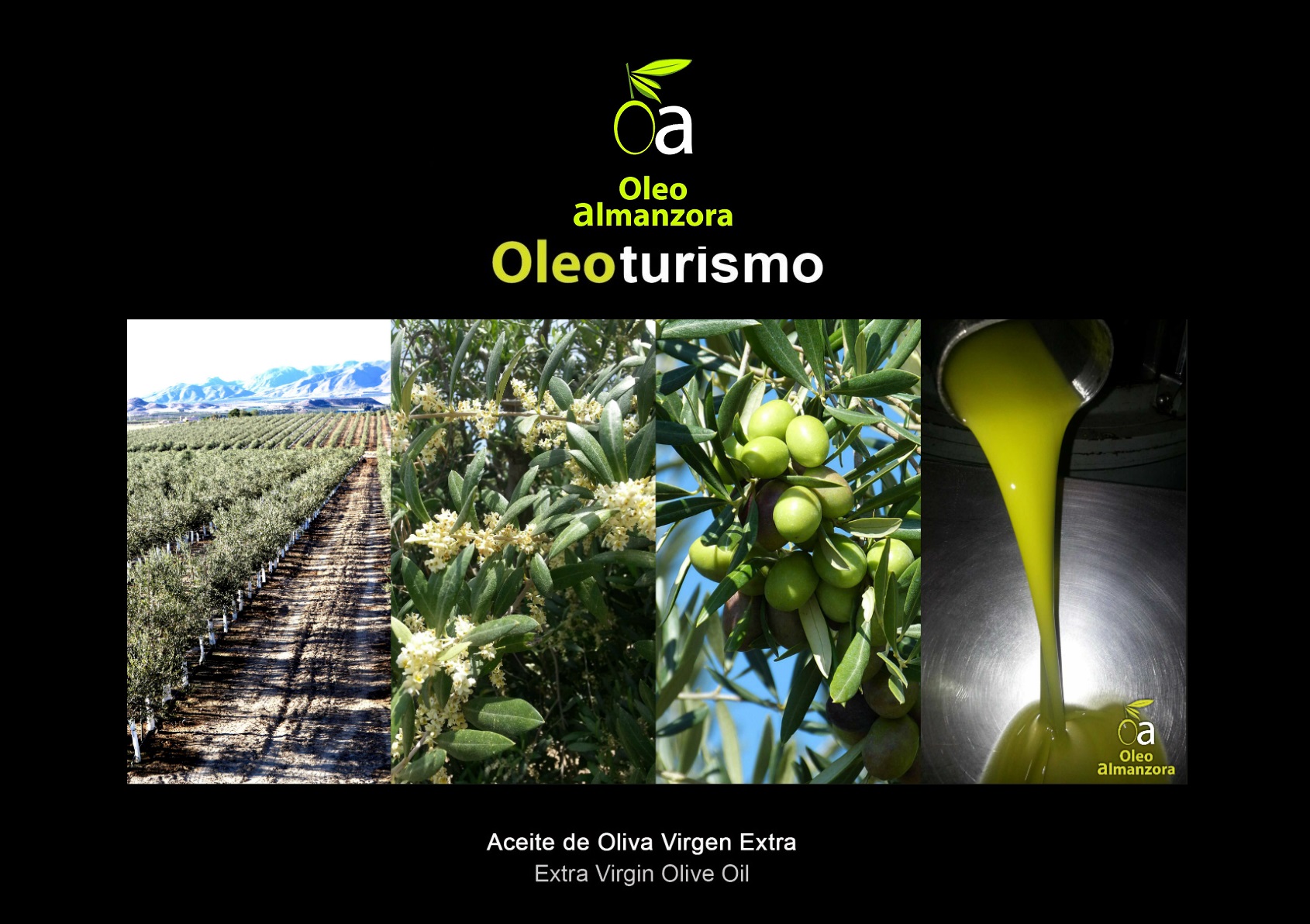 Tour with a healthy breakfast/afternoon snack and EVOO Sensory Tasting Masterclass
