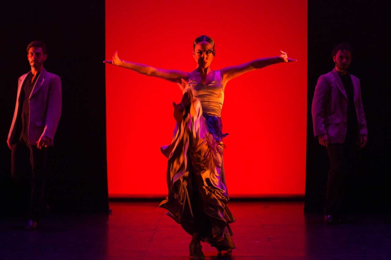 Ballet flamenco Andalucía, 25 aniversario