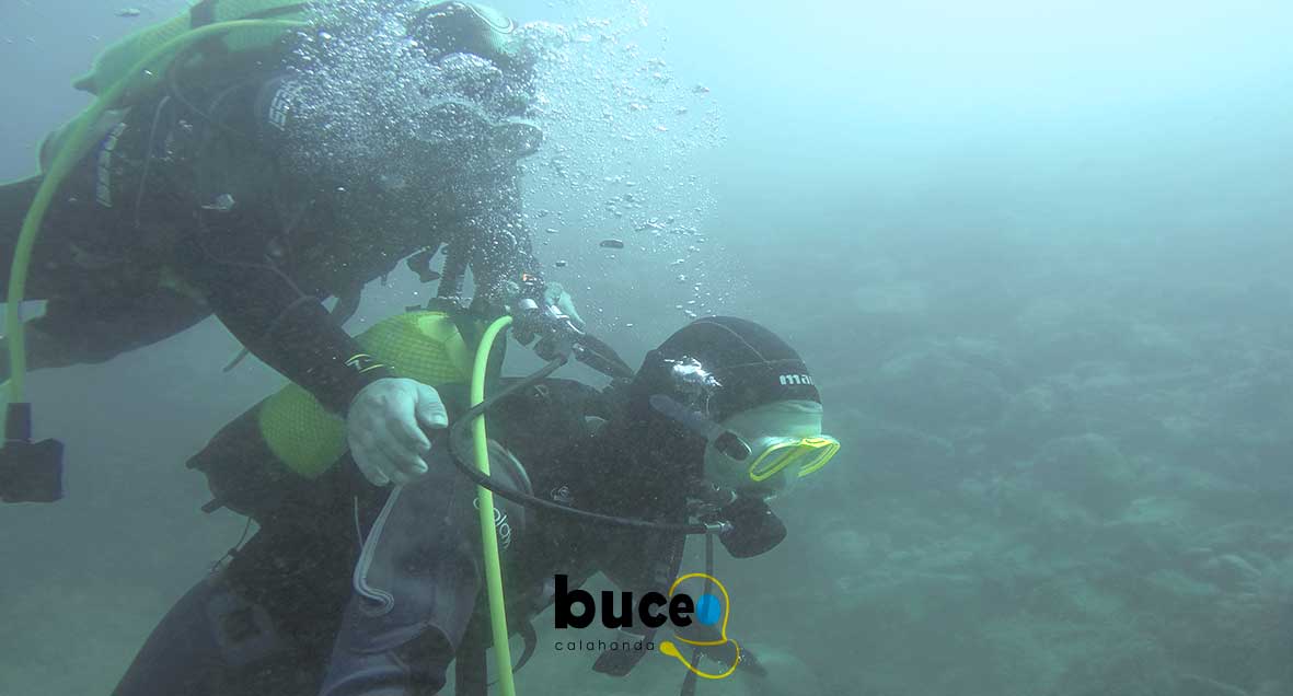 Buceo Calahonda