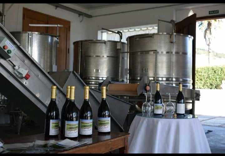 Bodega Guardi Wines
