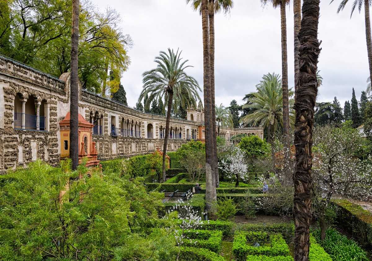 Tour privado al Real Alcázar de Sevilla