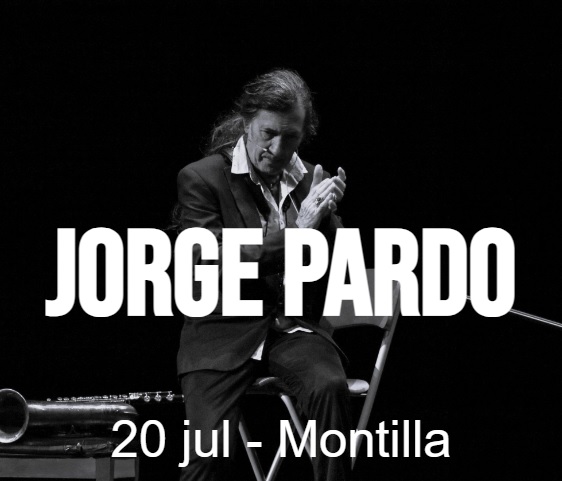 Concierto de Jorge Pardo - Festival de las Fuentes