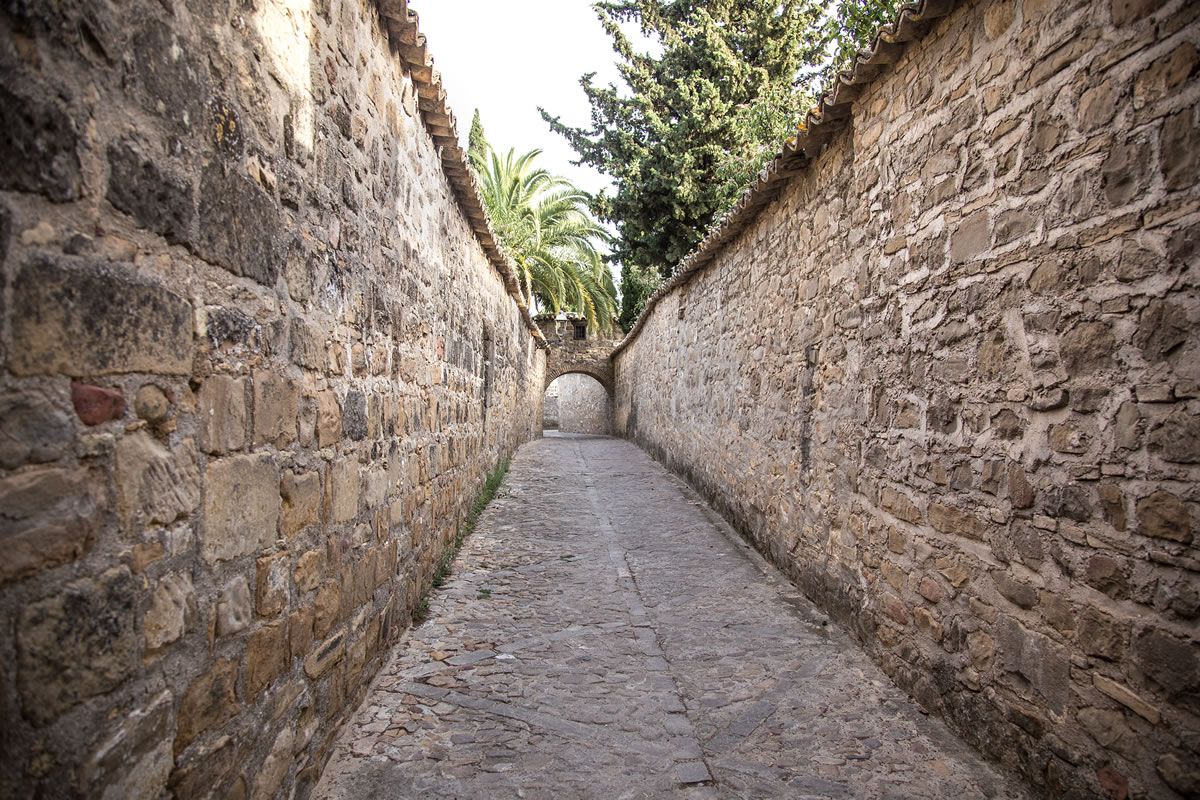 Callejones de la Catedral