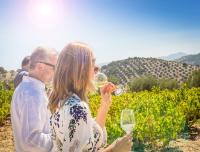Cómo maridar tu viaje a Andalucía con vino