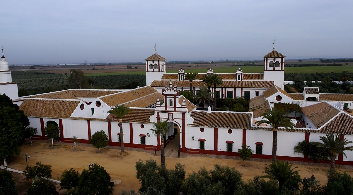 Huilerie Hacienda Guzmán