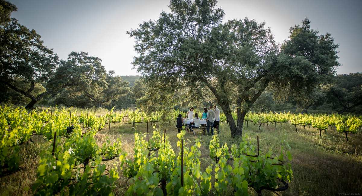 Bodega La Melonera