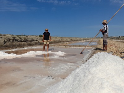 Die Salzfelder von Cádiz