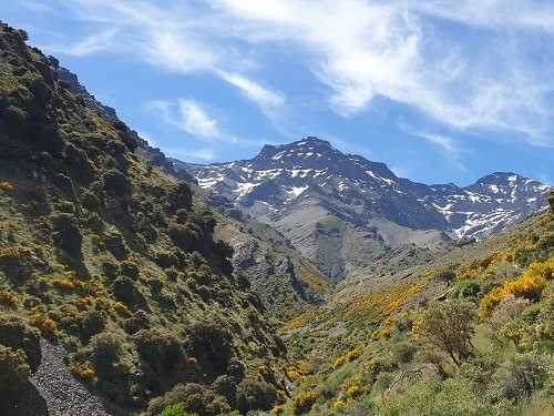 Ruta Vereda de la Estrella