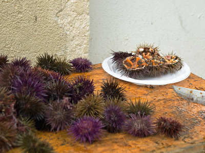 Honigpfannkuchen-, Seeigel-, Austern- und Miesmuschelessen von Cádiz