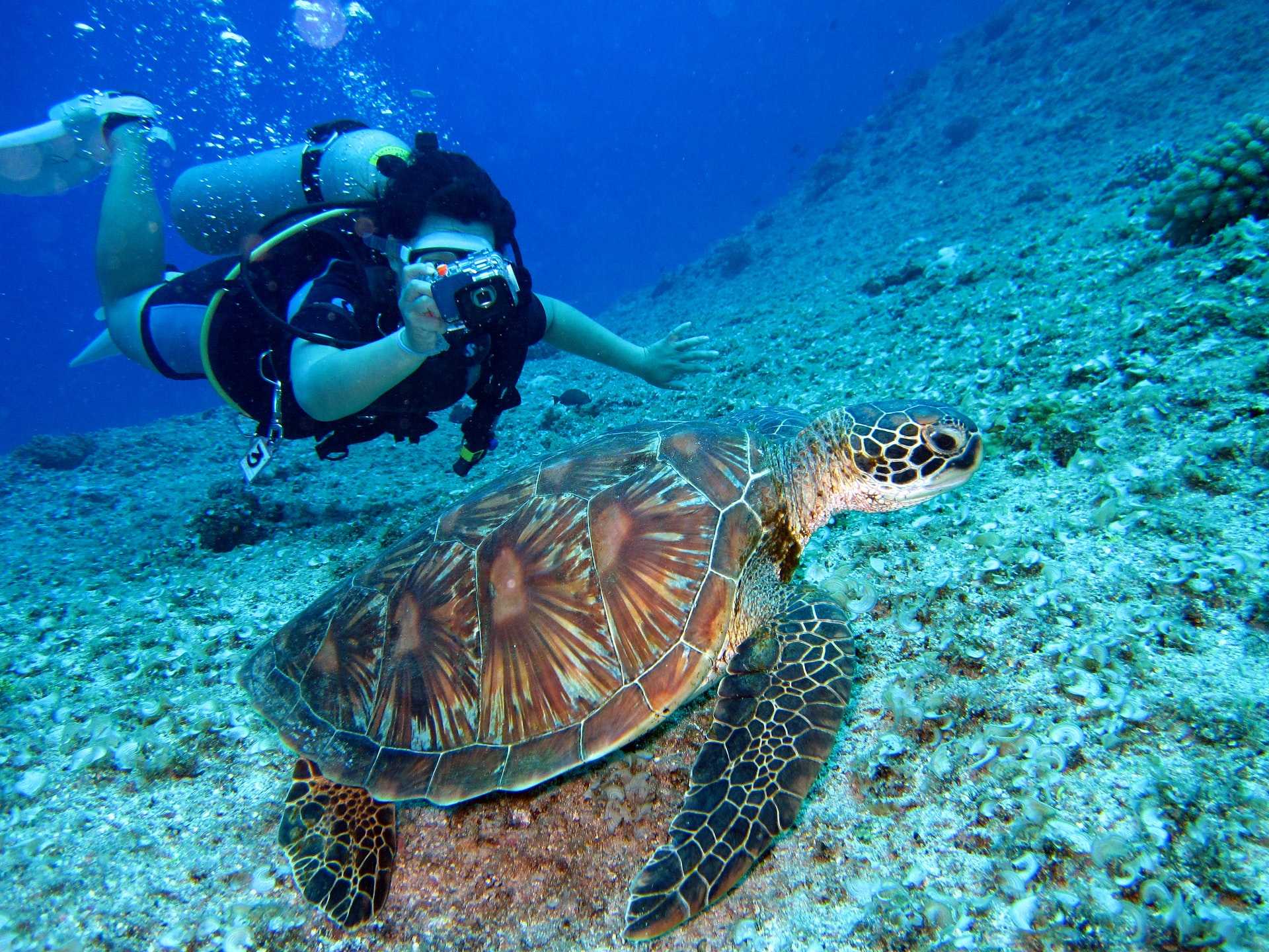 Bautismo de Buceo