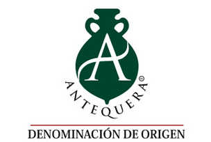 Noches de AOVE en el MVCA