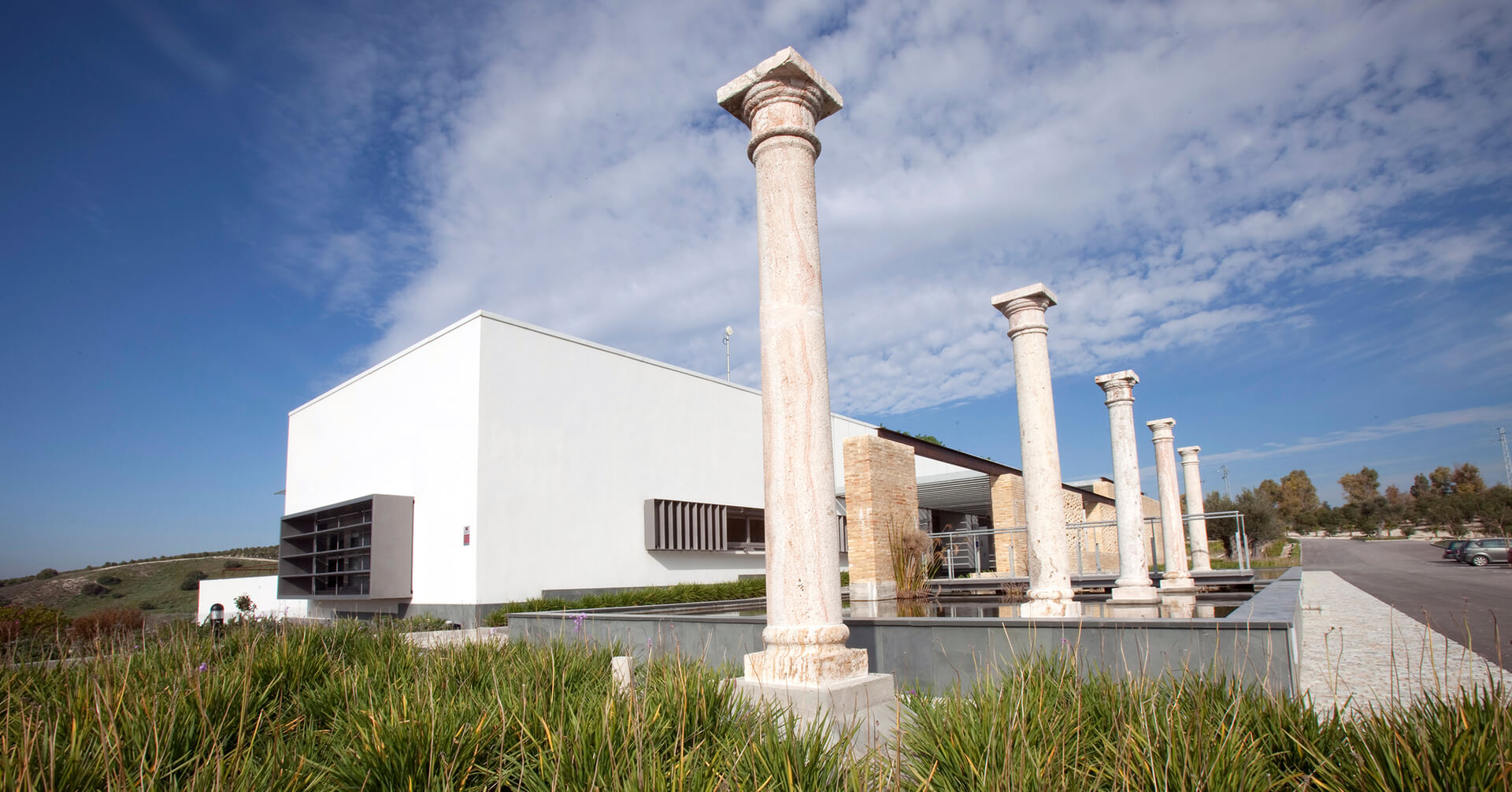 Bodegas Miguel Domecq - Entrechuelos