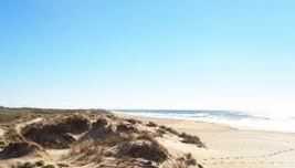 Playa de Mangueta