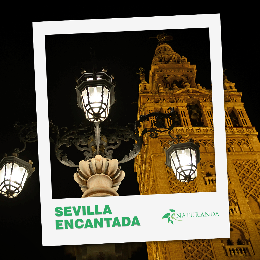 Ruta La Sevilla Encantada
