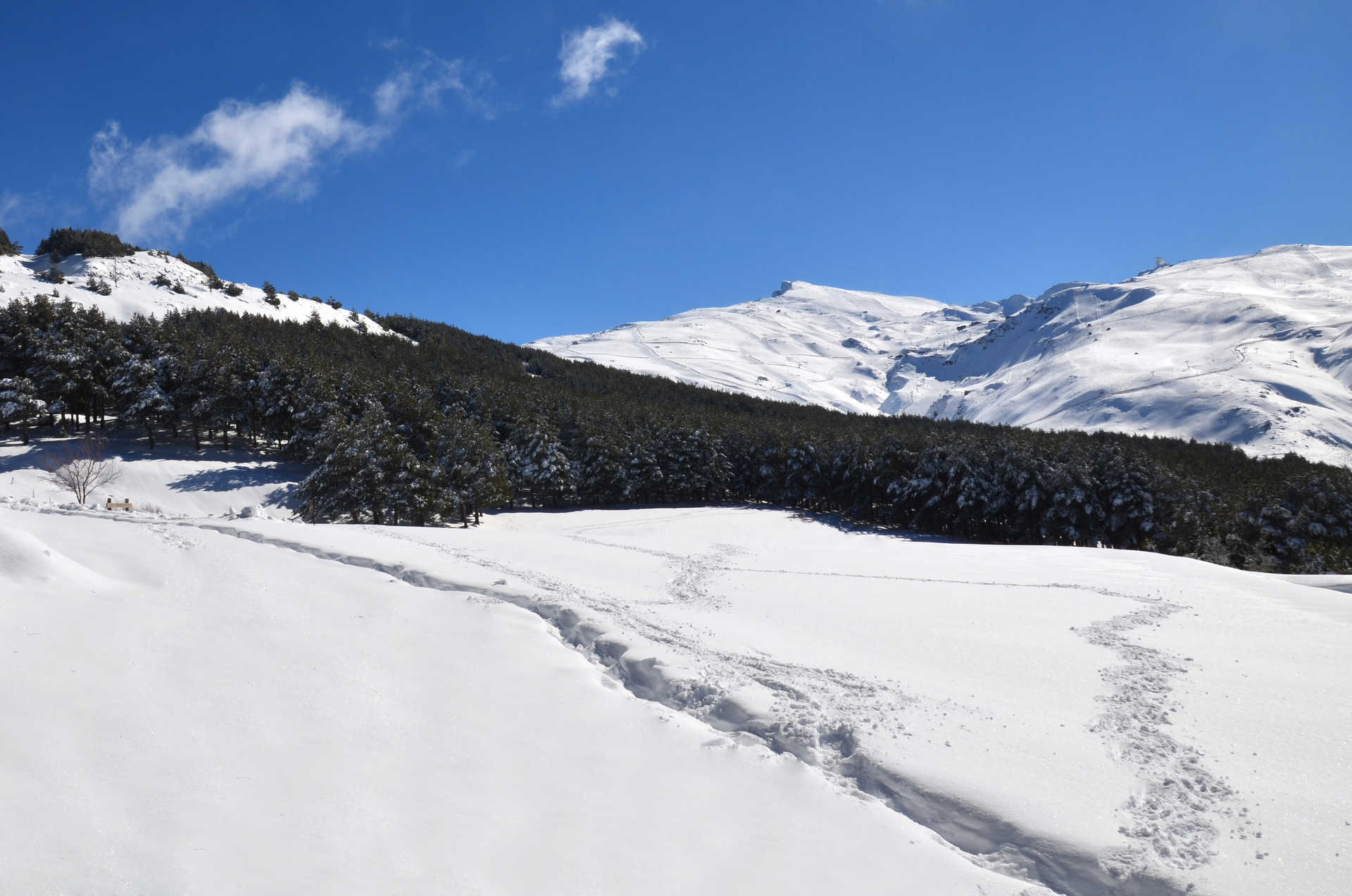 Naturaleza Sierra Nevada y raquetas de nieve.jpg 