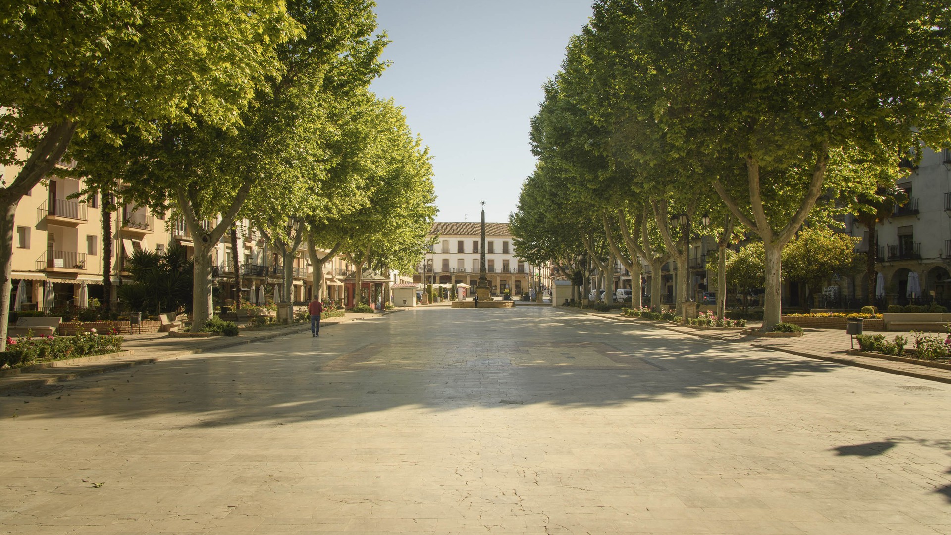 Paseo de la Constitución